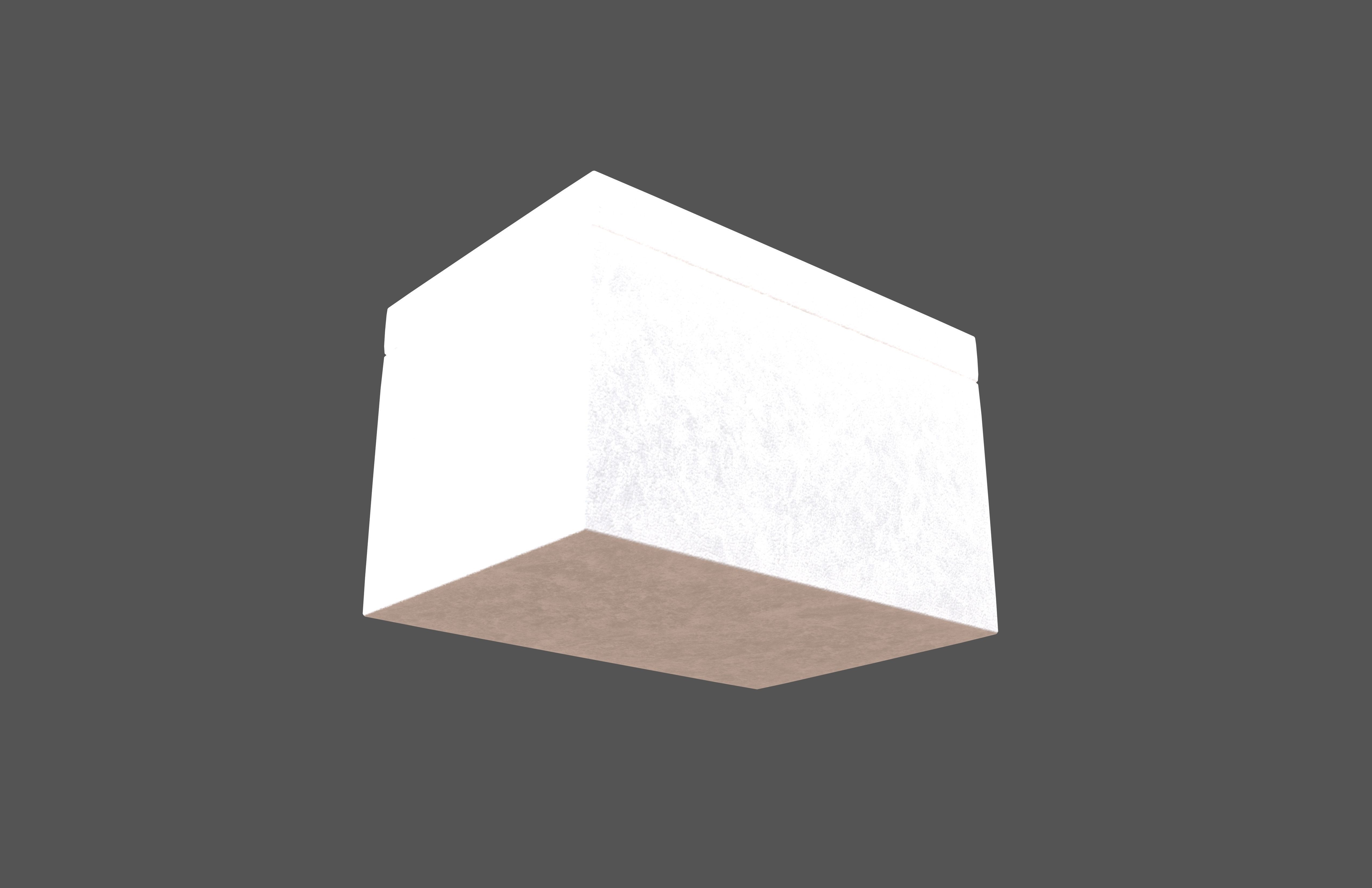 Styrofoam Box v1 002 Low-poly 3D model_3