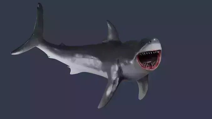  Great White Shark Rigged in Blender  Low-poly 3D model