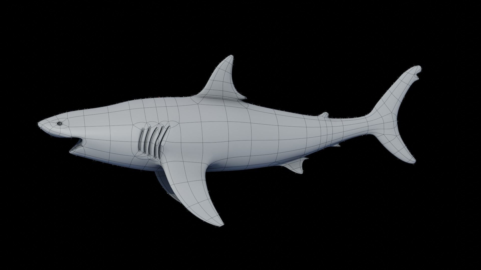  Great White Shark Rigged in Blender  Low-poly 3D model_16