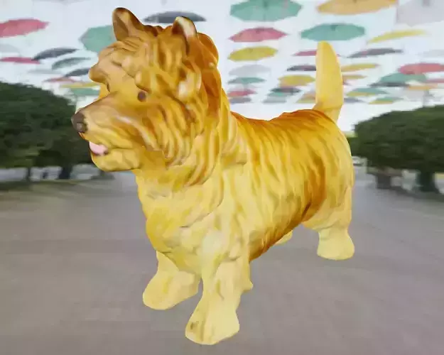 Yorkshire westie terrier