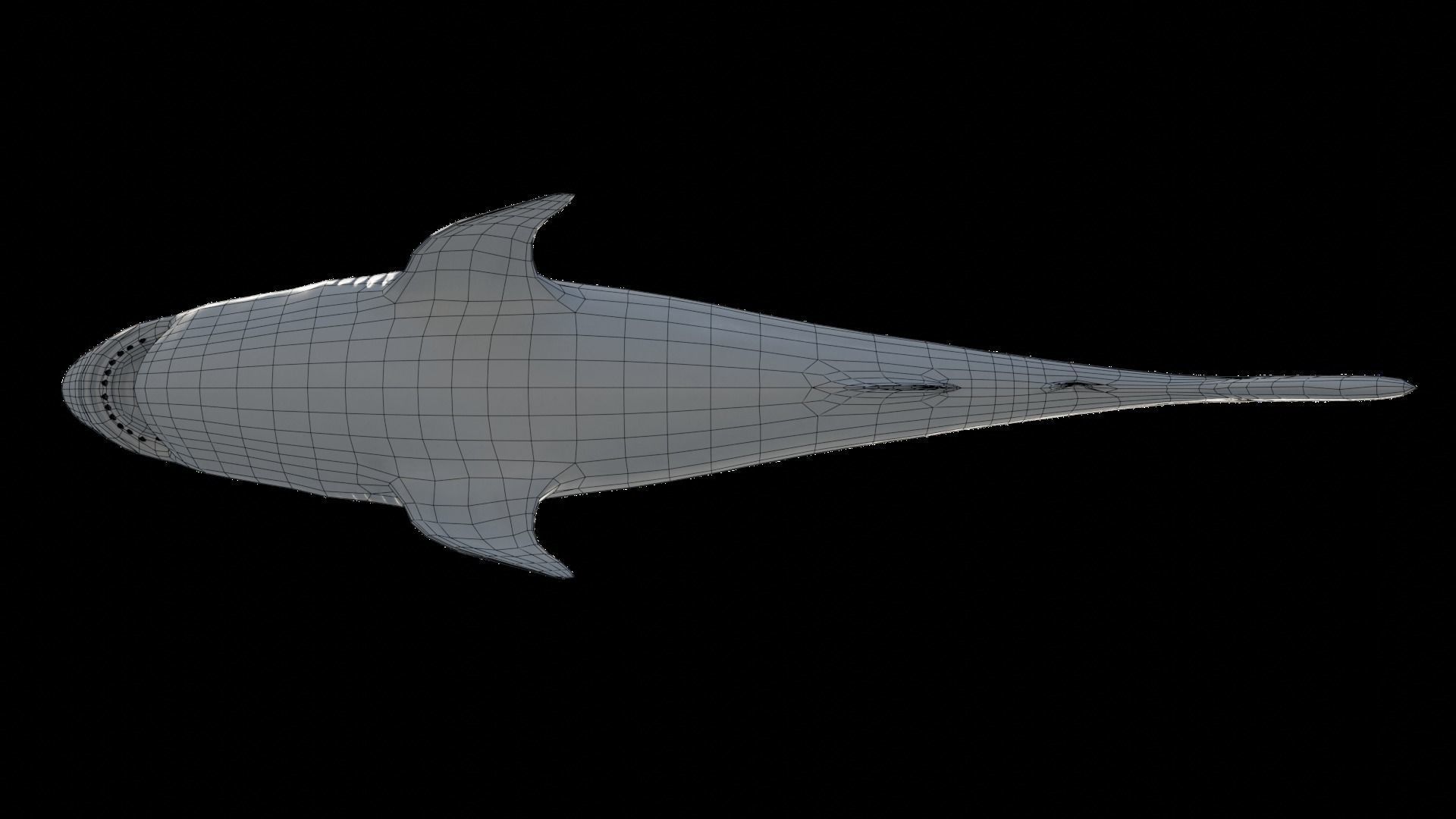 Great White Shark NO Rigged in Blender Low-poly 3D model_15