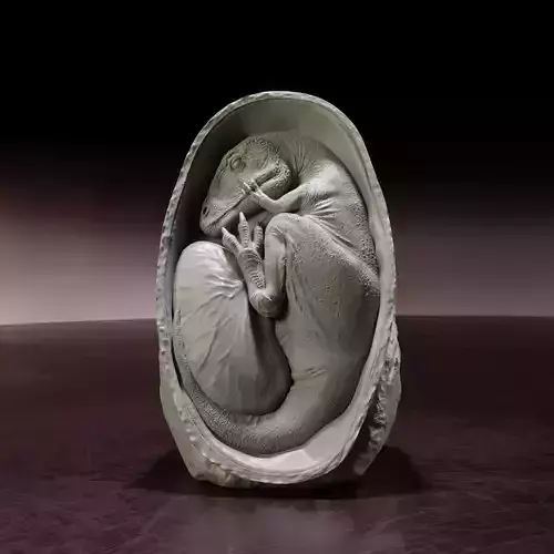 Charcharadontosaurus embryo - pre-supported dino egg 3D print model