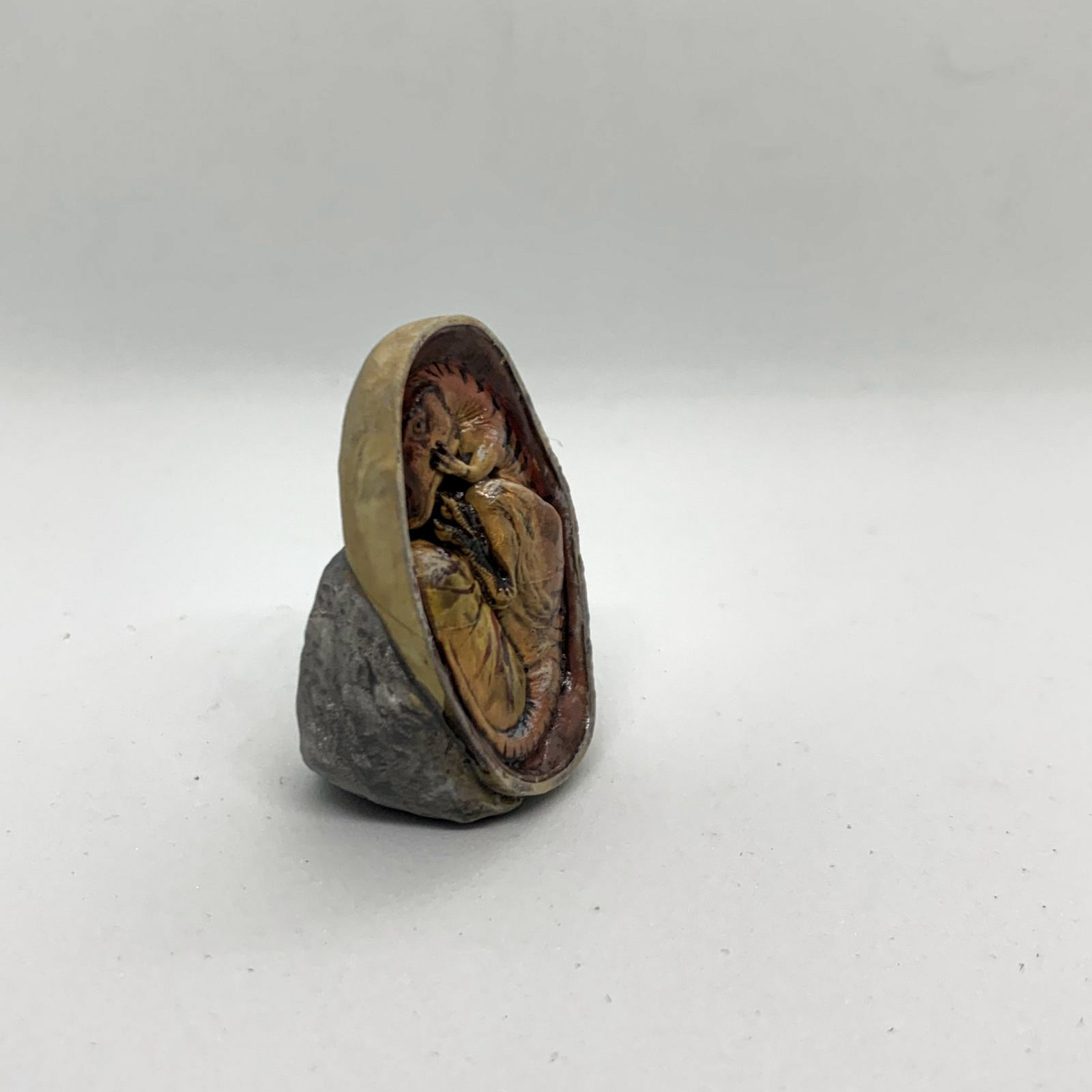 Charcharadontosaurus embryo - pre-supported dino egg 3D print model_6