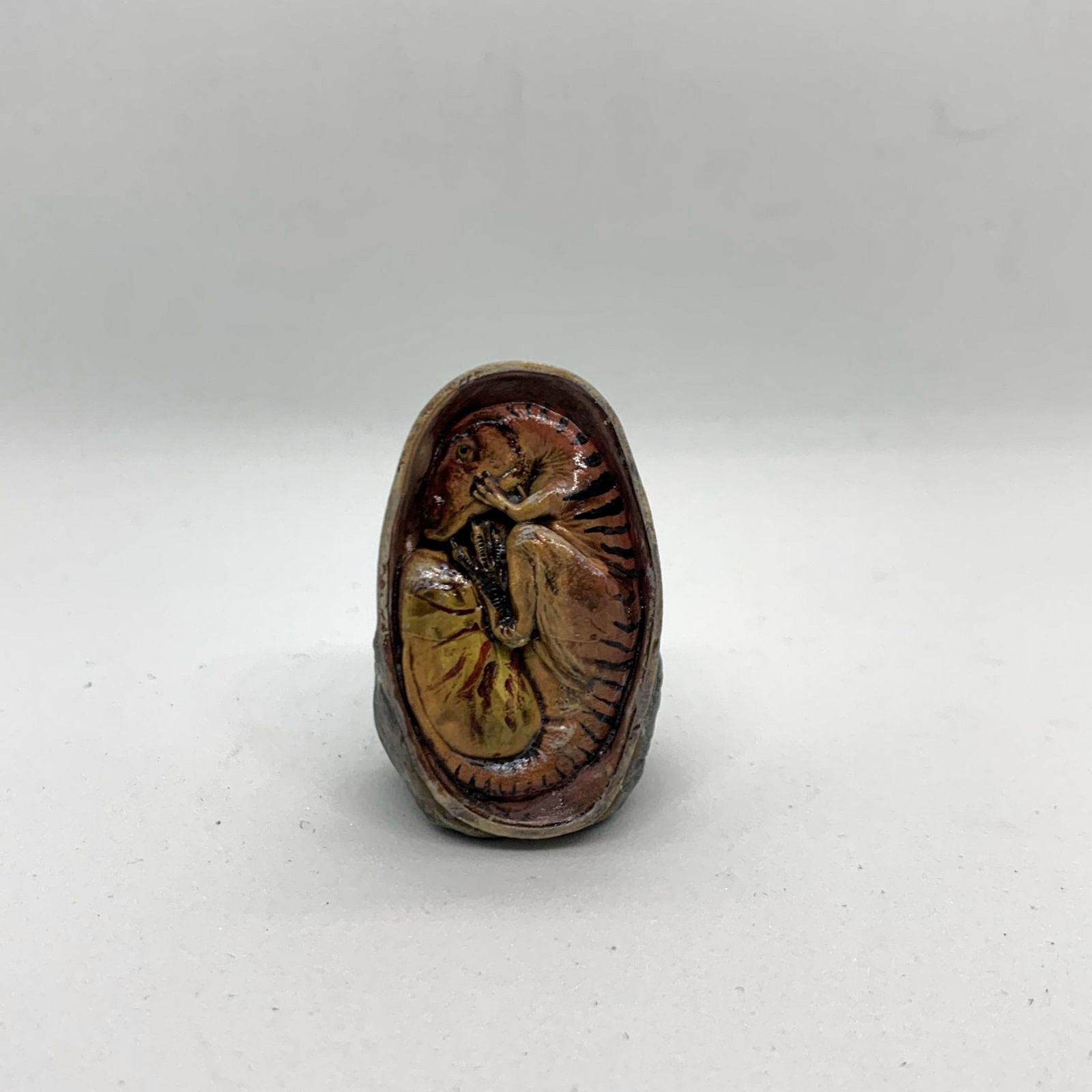 Charcharadontosaurus embryo - pre-supported dino egg 3D print model_1