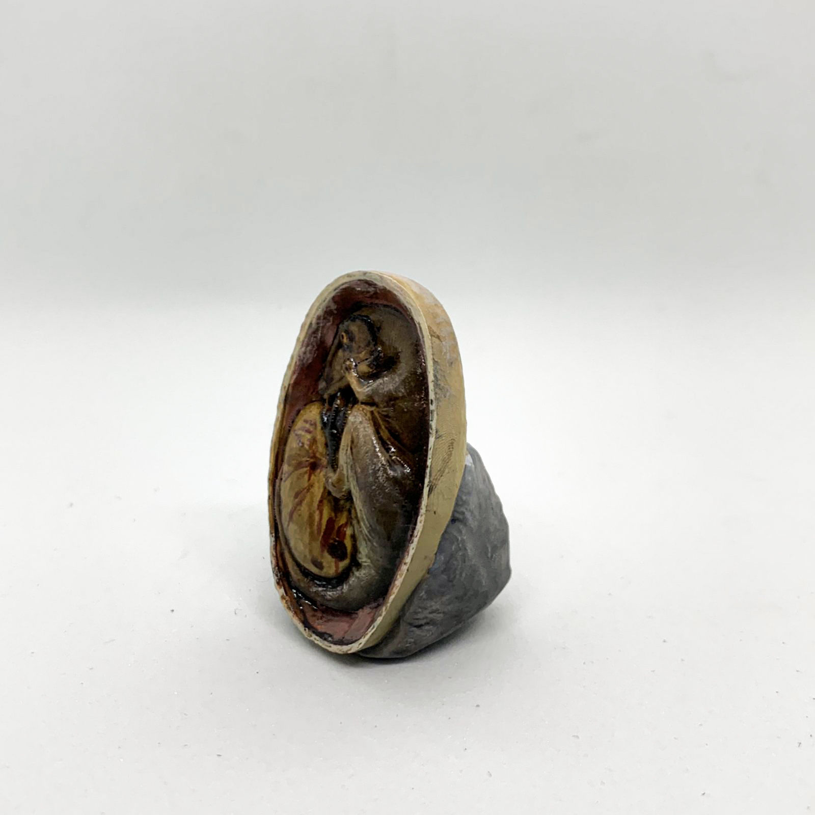 Charcharadontosaurus embryo - pre-supported dino egg 3D print model_7