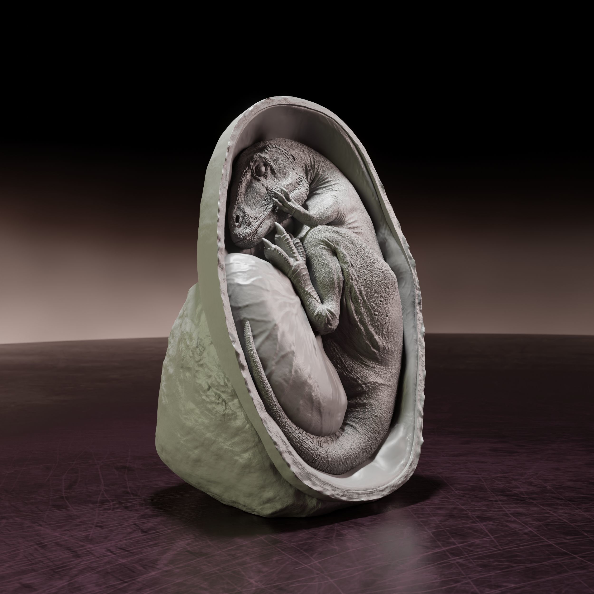 Charcharadontosaurus embryo - pre-supported dino egg 3D print model_5