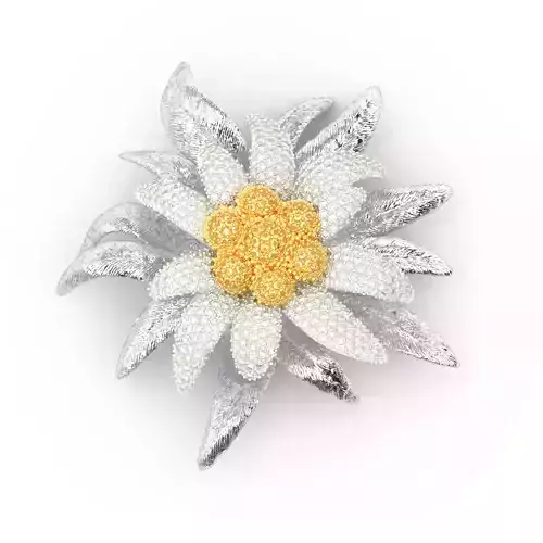 190924 Brooche Edelweiss