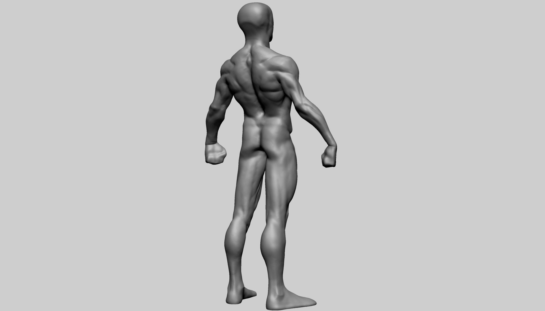 Base Male Anatomy Printable 3D print model_3