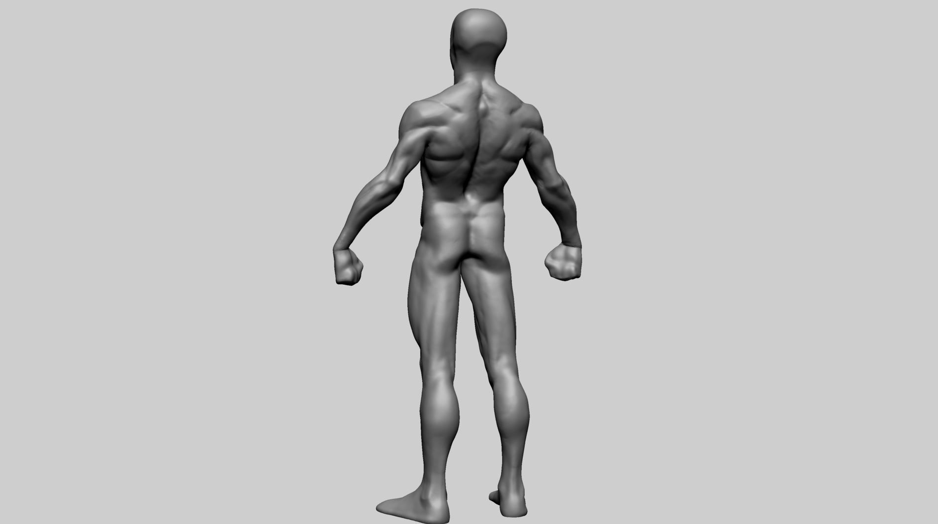 Base Male Anatomy Printable 3D print model_5