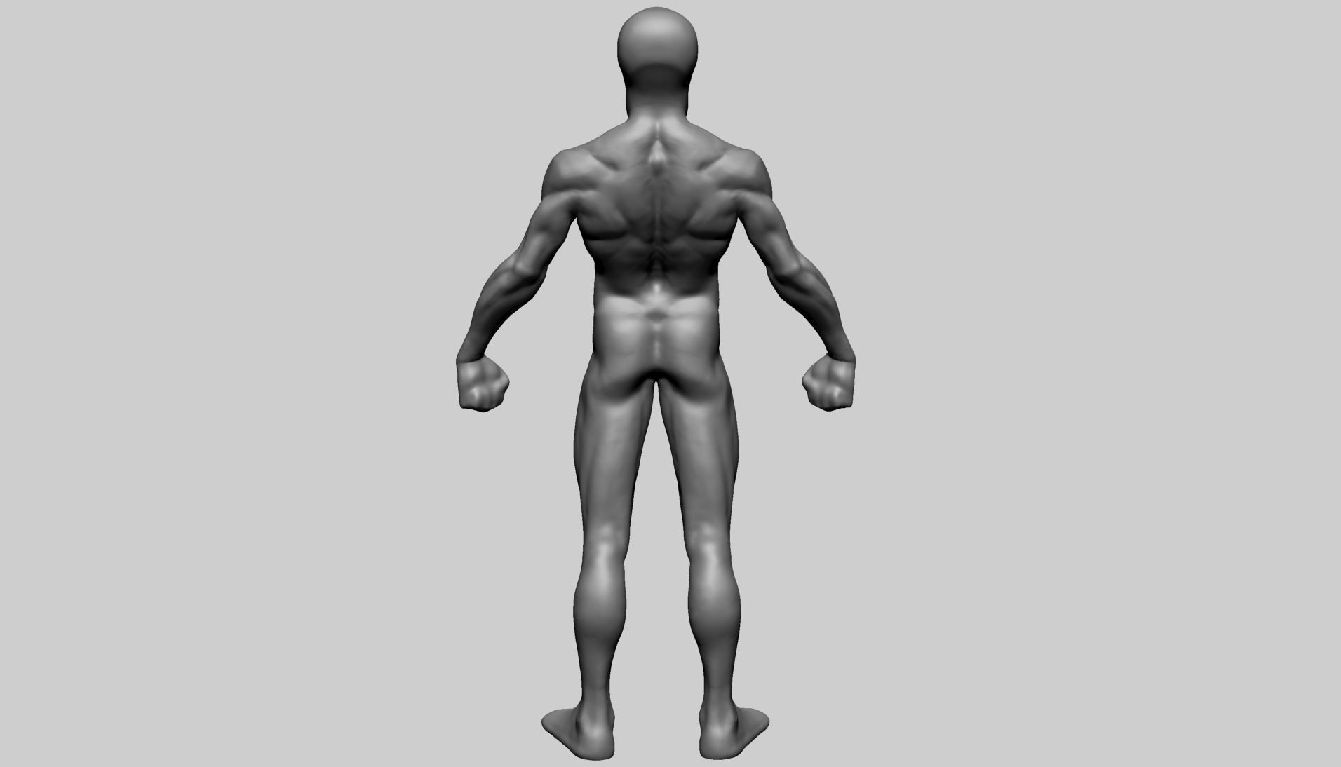 Base Male Anatomy Printable 3D print model_8
