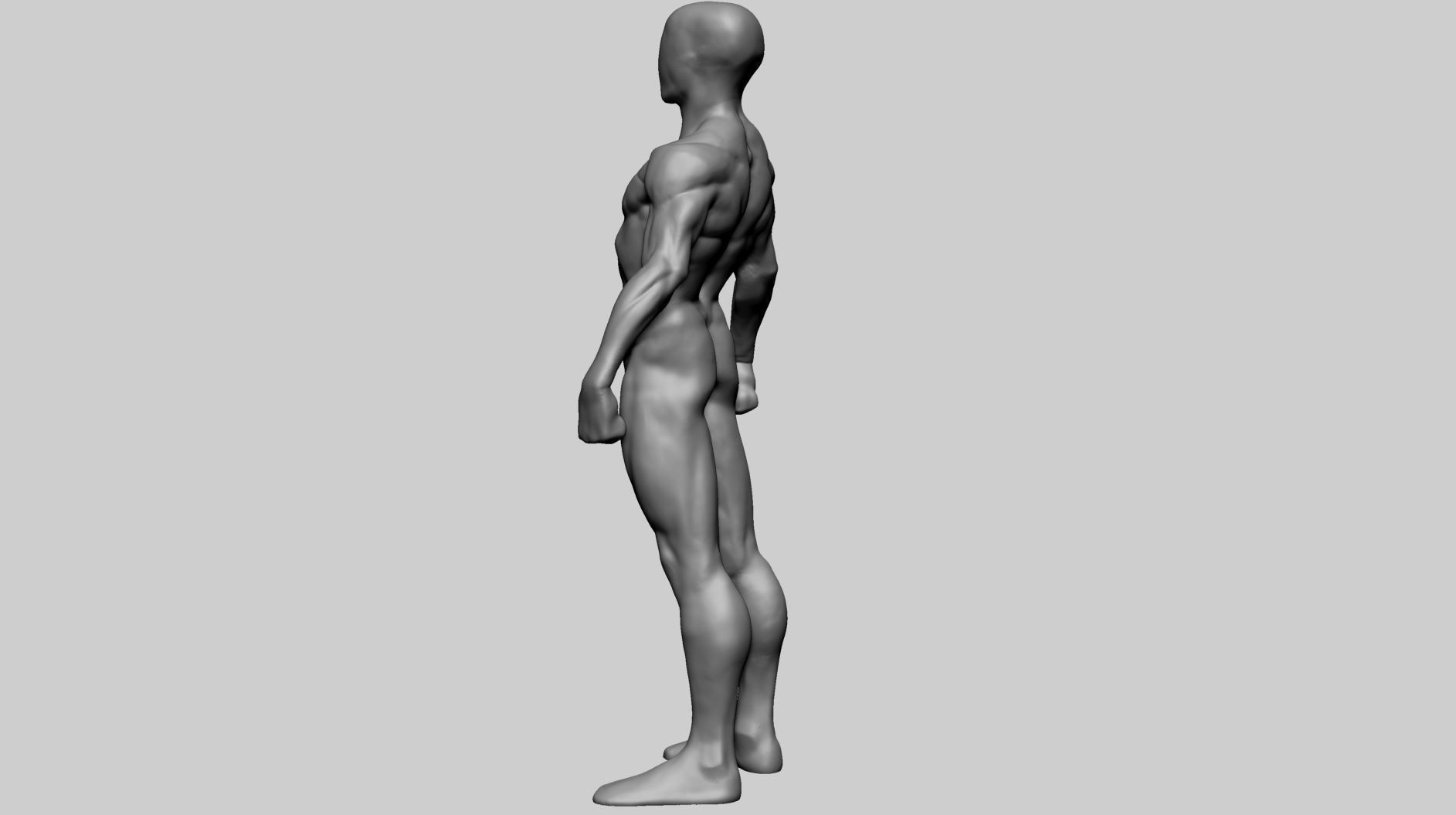 Base Male Anatomy Printable 3D print model_6