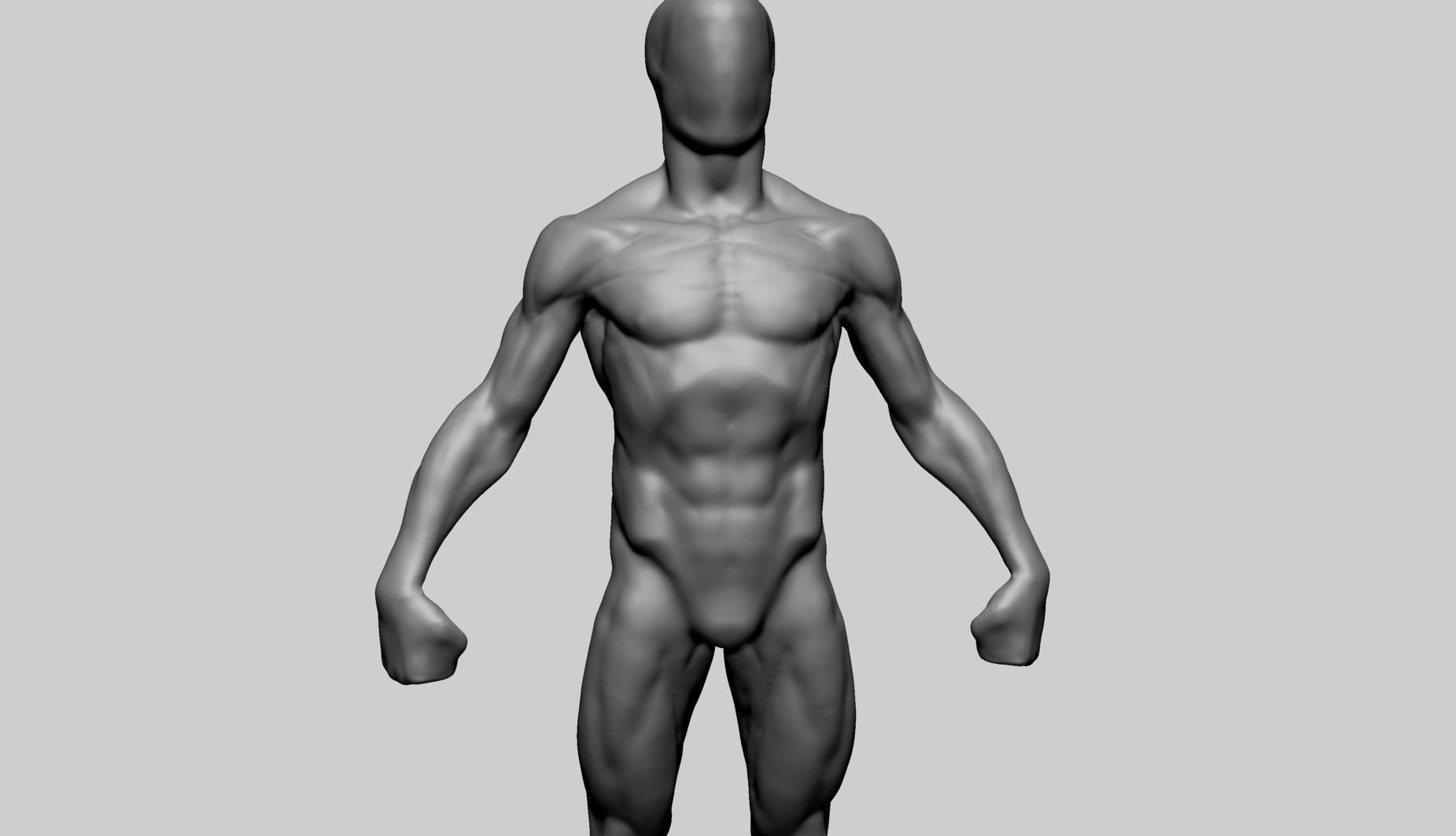 Base Male Anatomy Printable 3D print model_9