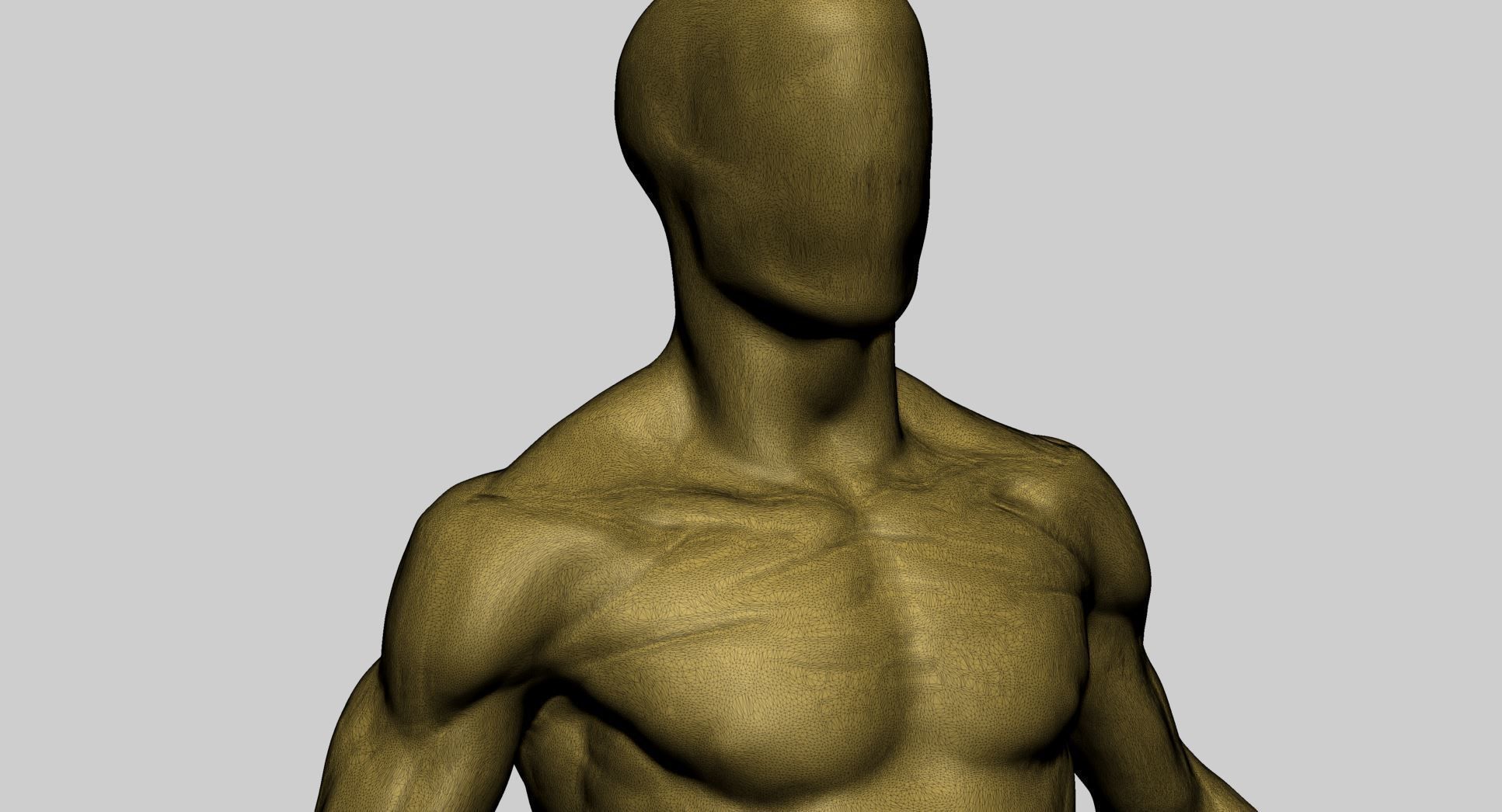 Base Male Anatomy Printable 3D print model_12