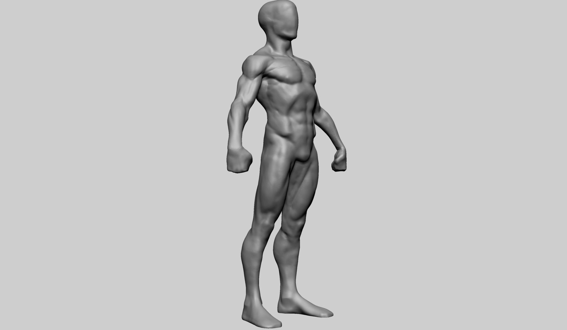 Base Male Anatomy Printable 3D print model_1