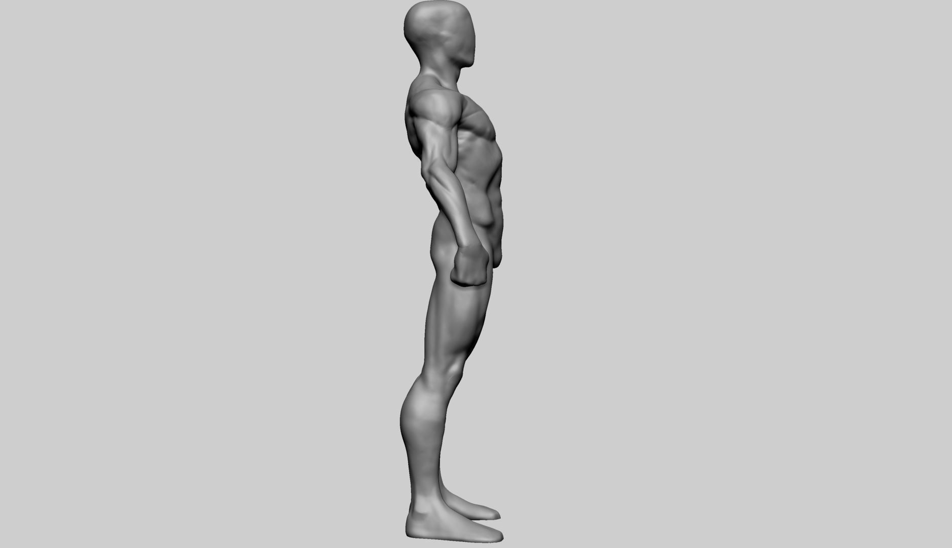 Base Male Anatomy Printable 3D print model_2
