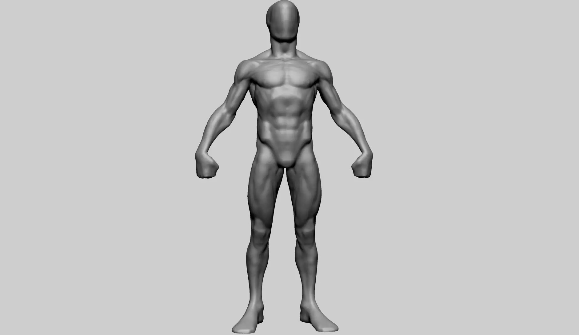 Base Male Anatomy Printable 3D print model_0