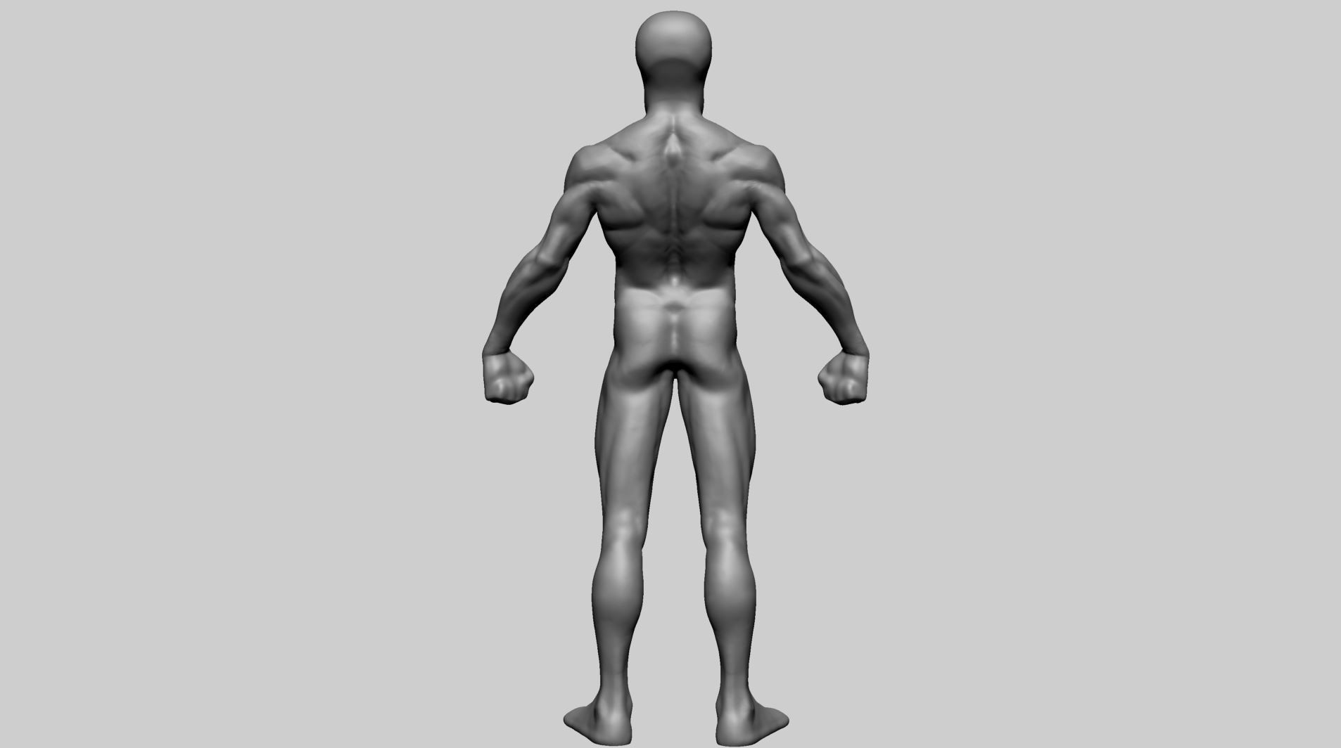 Base Male Anatomy Printable 3D print model_4