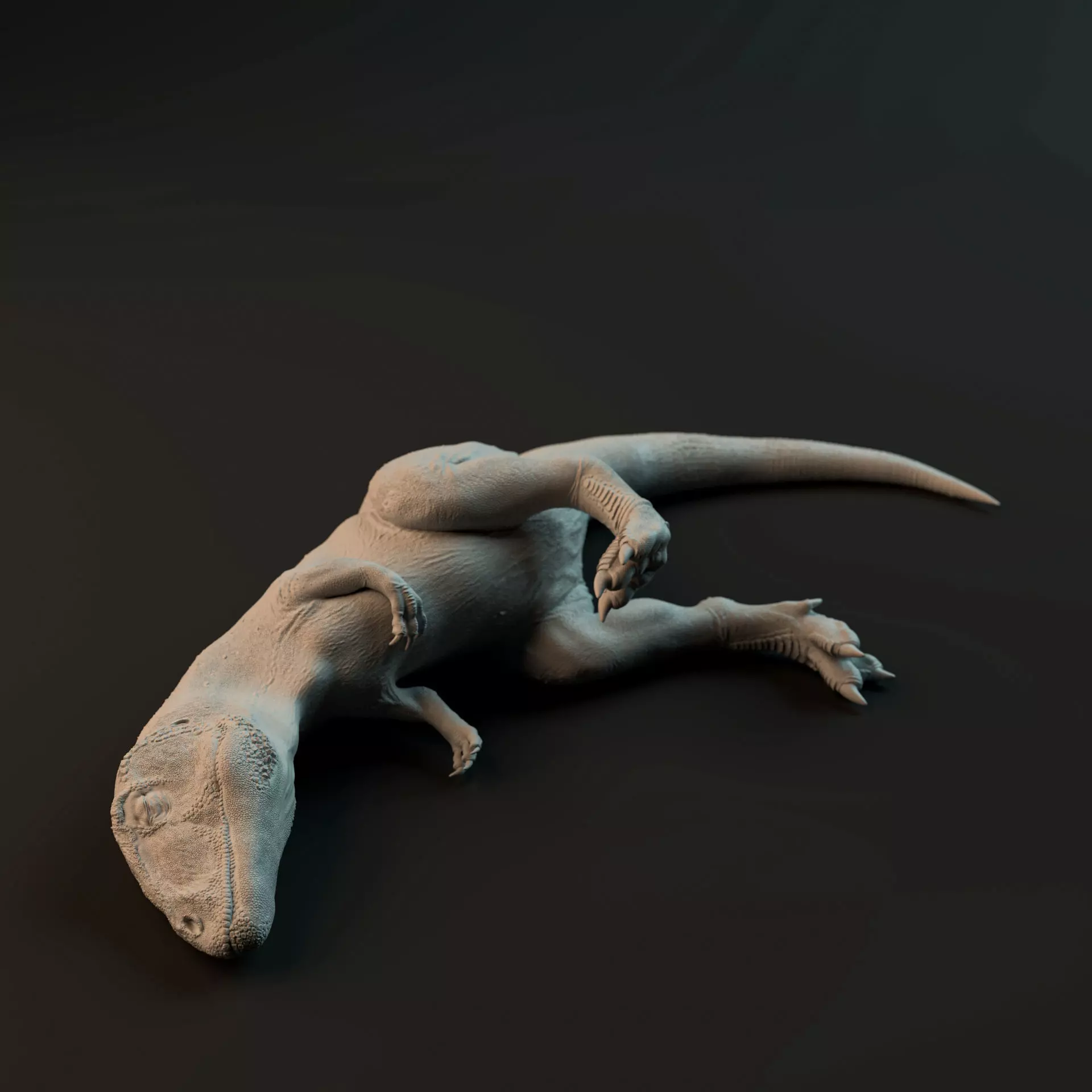 Carcharadontosaurus hatchling sleeping on back - pre-supported 3D print model_0