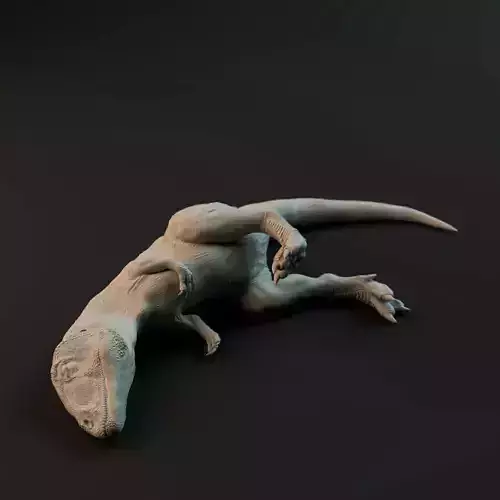 Carcharadontosaurus hatchling sleeping on back - pre-supported