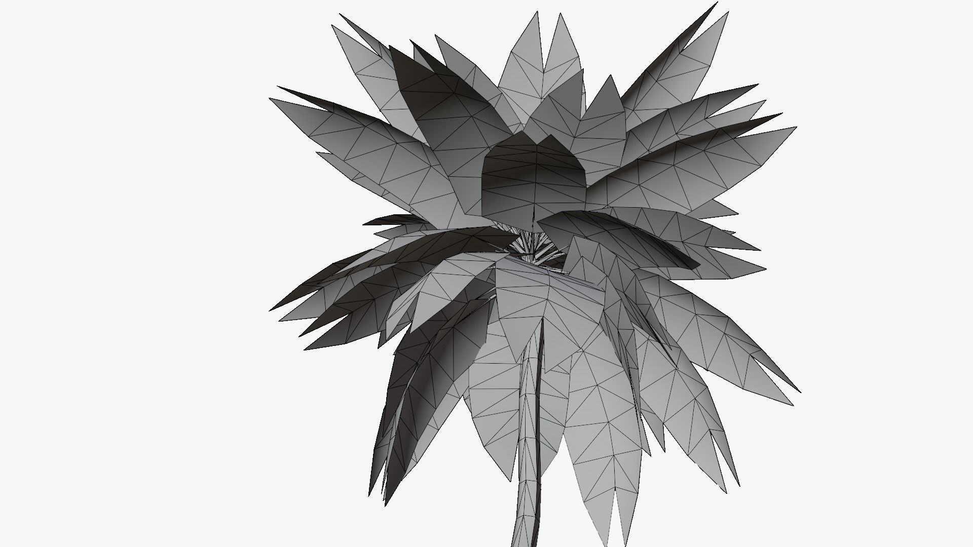 Lowpoly Date Palm v4 Low-poly 3D model_9