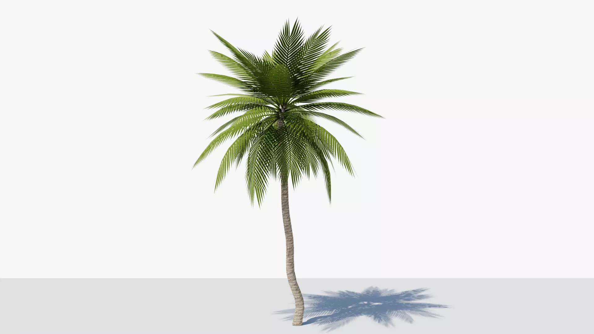Lowpoly Date Palm v4 Low-poly 3D model_0