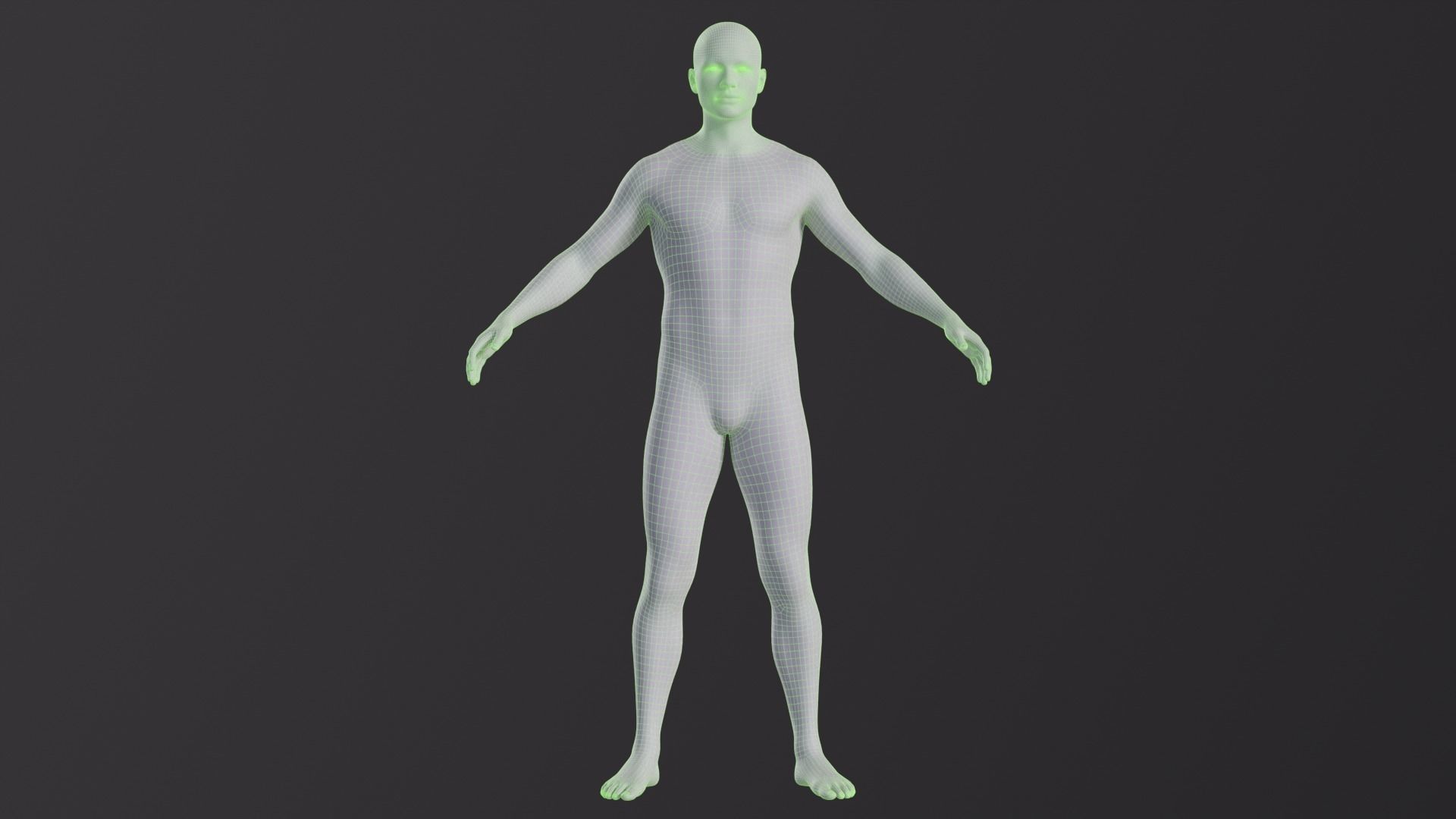 Human rigged low poly model Low-poly 3D model_2