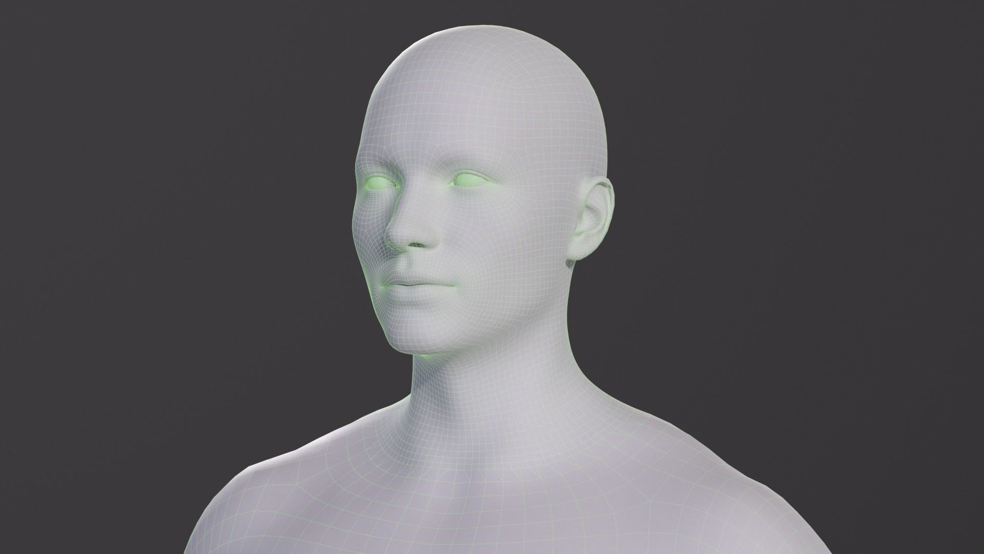 Human rigged low poly model Low-poly 3D model_3