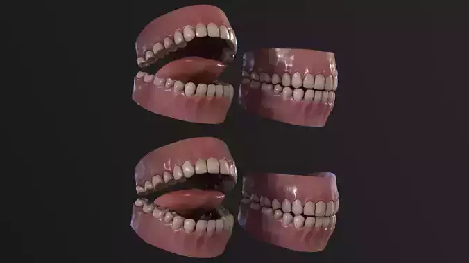 Teeth and tongue Low-poly 3D model