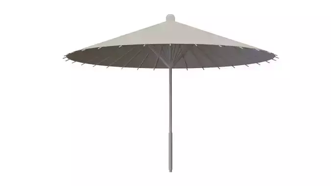 Traditional Japanese Umbrella