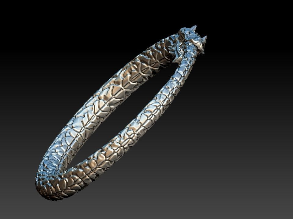 Ouroboros Dragon - Ring and Pendant 3D print model_20