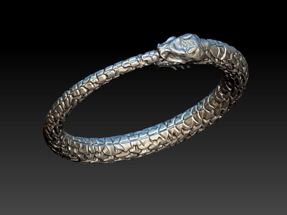 Ouroboros Dragon - Ring and Pendant 3D print model_17