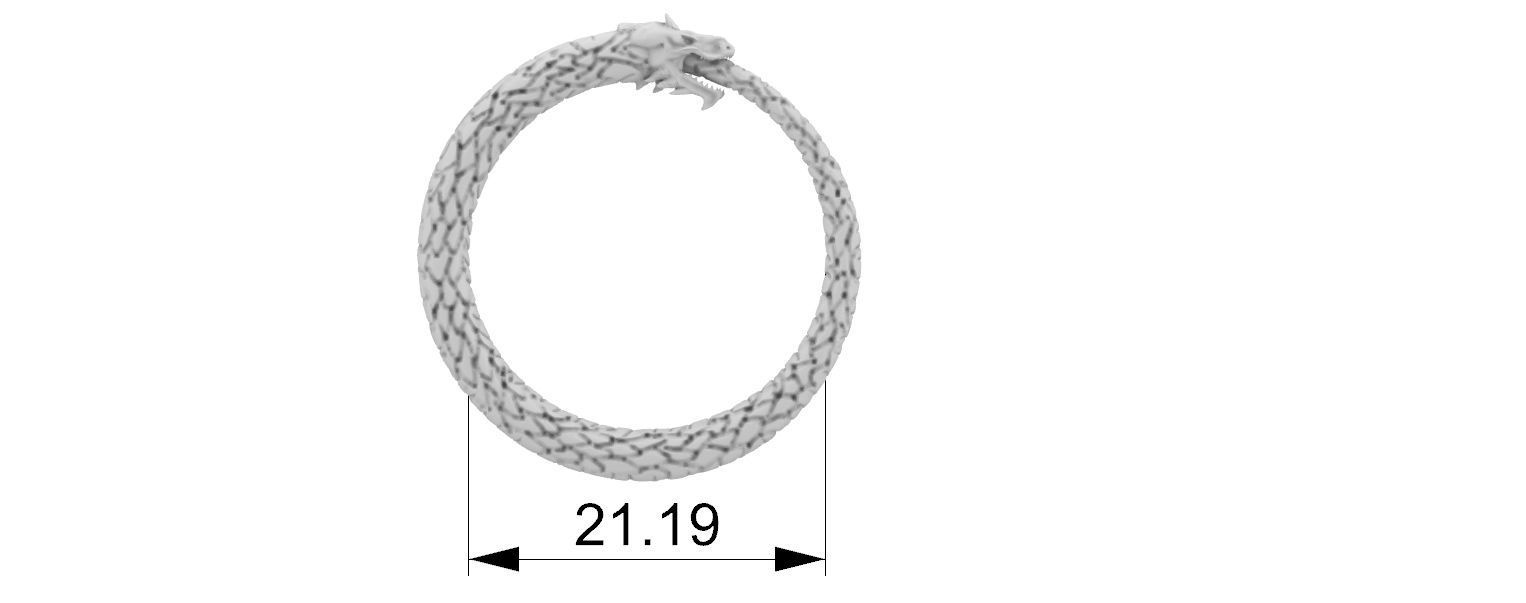 Ouroboros Dragon - Ring and Pendant 3D print model_23