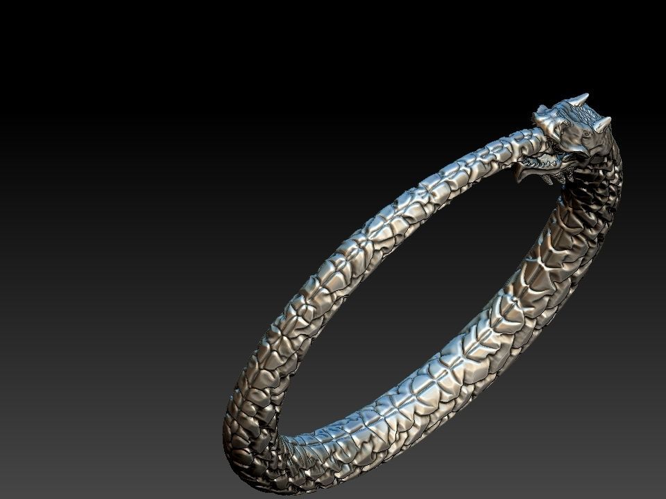 Ouroboros Dragon - Ring and Pendant 3D print model_19