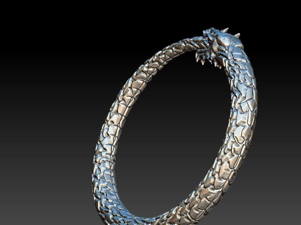 Ouroboros Dragon - Ring and Pendant 3D print model_13