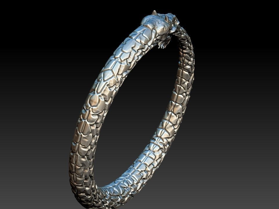 Ouroboros Dragon - Ring and Pendant 3D print model_11