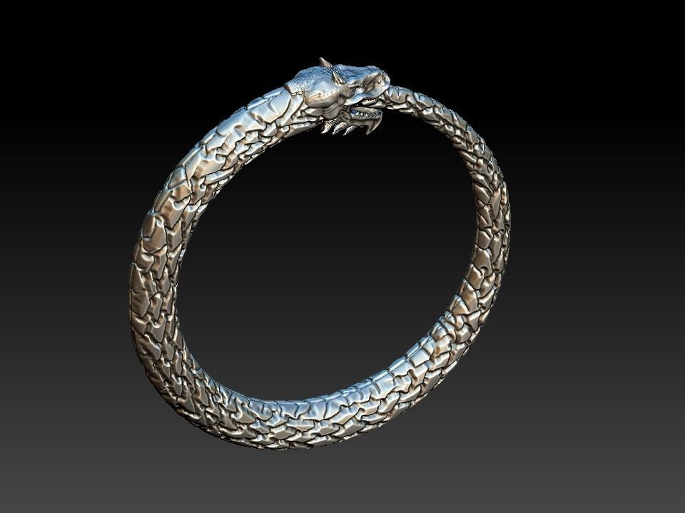 Ouroboros Dragon - Ring and Pendant 3D print model_1