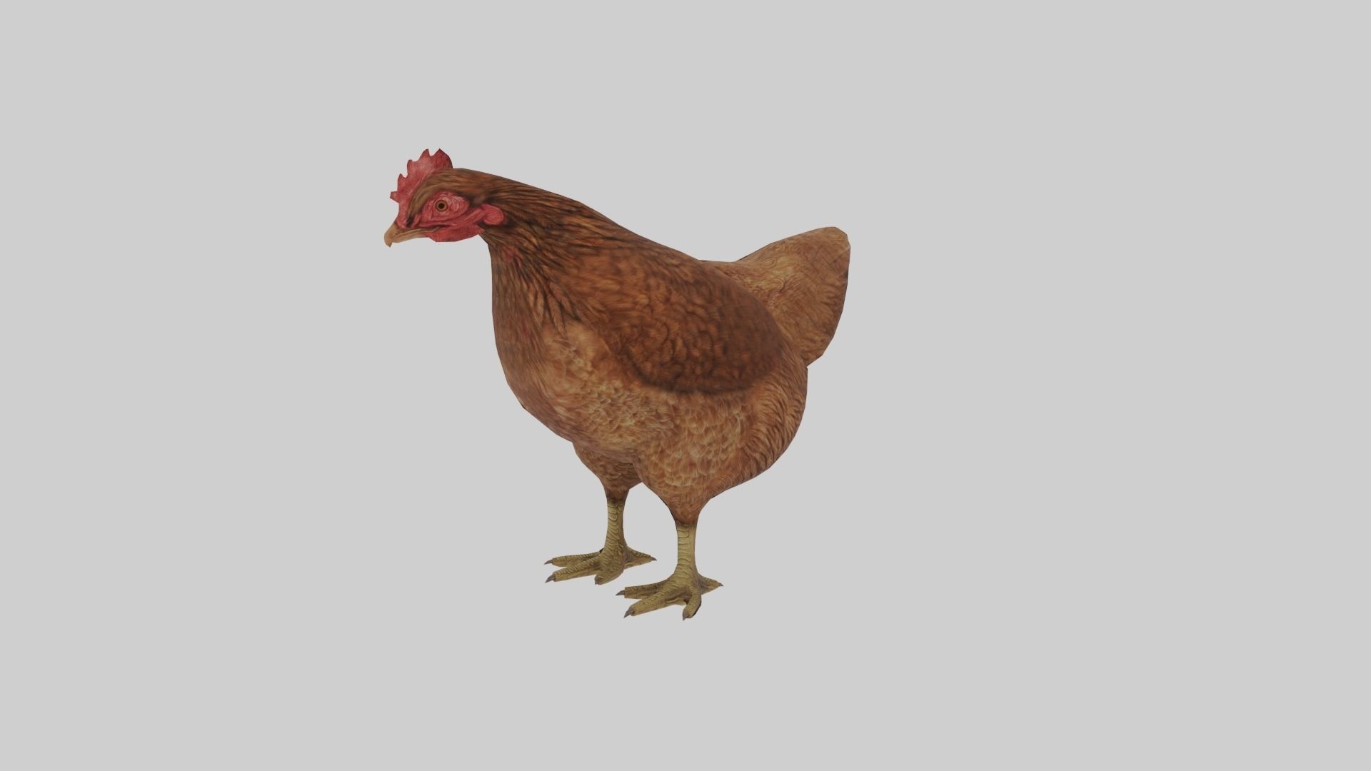 Chicken  Animated VFX Grace Low-poly 3D model_2