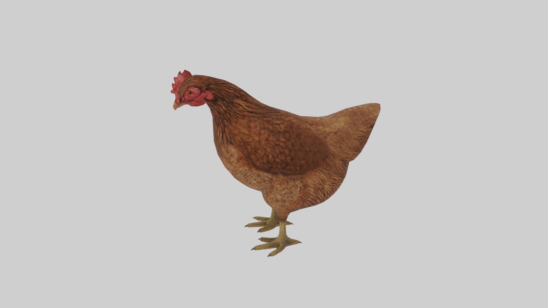Chicken  Animated VFX Grace Low-poly 3D model_5