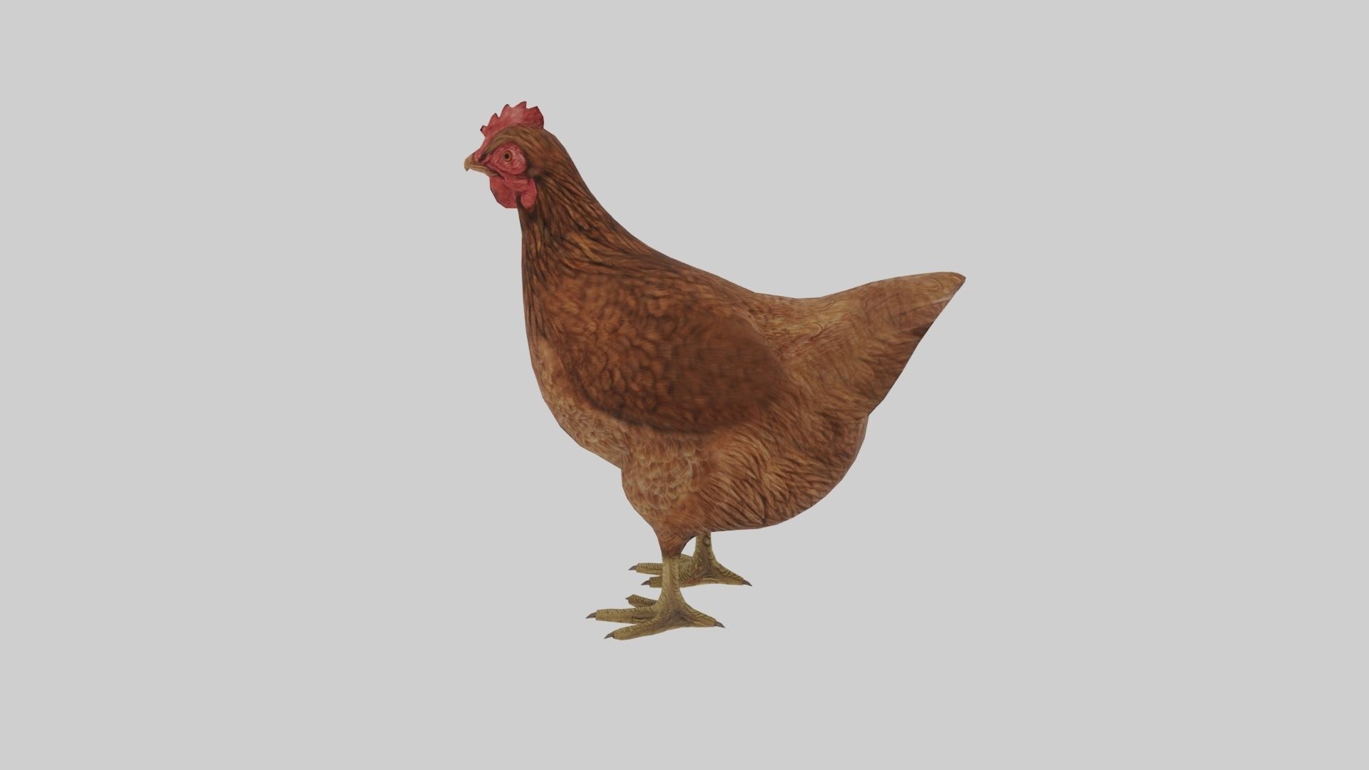 Chicken  Animated VFX Grace Low-poly 3D model_6