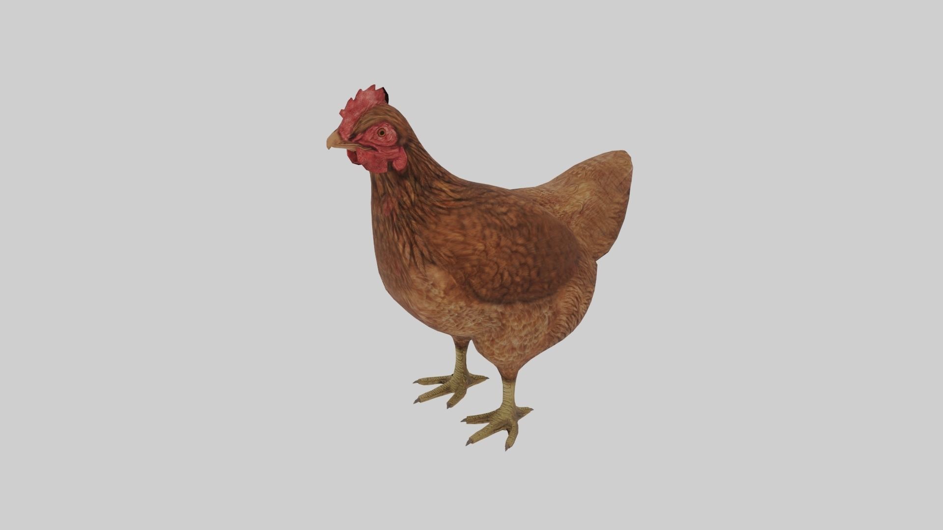 Chicken  Animated VFX Grace Low-poly 3D model_1