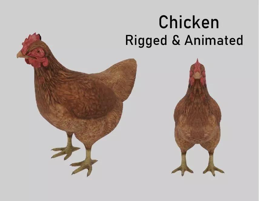 Chicken  Animated VFX Grace Low-poly 3D model_0