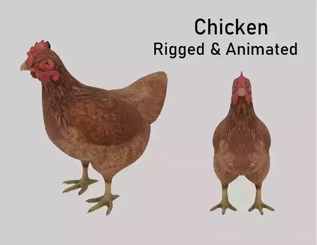 Chicken  Animated VFX Grace Low-poly 3D model