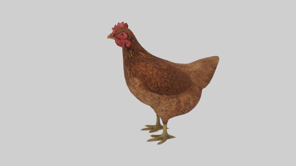 Chicken  Animated VFX Grace Low-poly 3D model_7