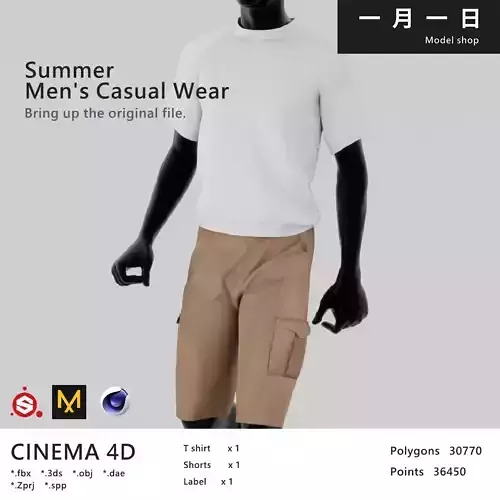 Summer Men Casual Wear 3D Model Collection