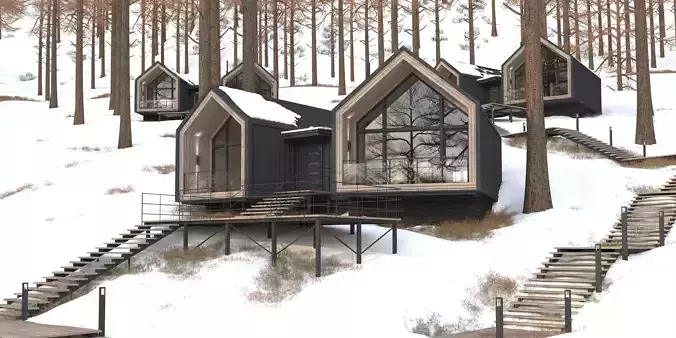 WINTER EXTERIOR-BARN HOUSE