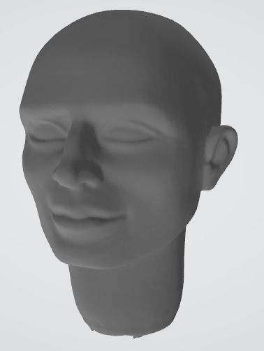 Head Sculptures Of The Tracy Brothers From Thunderbirds 3D print model_8