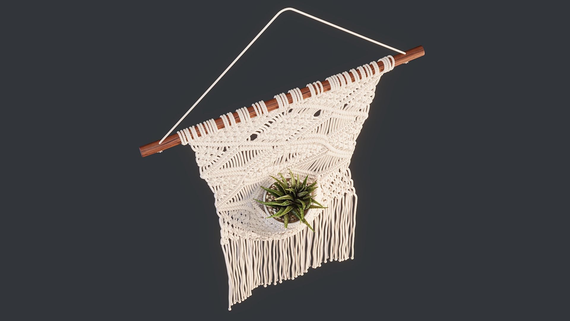 Macrame with Succulent Plant 3D model_15