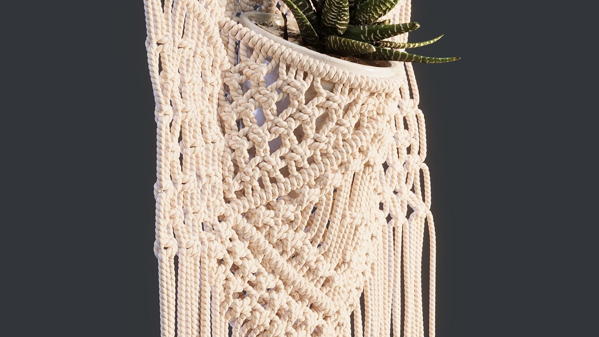 Macrame with Succulent Plant 3D model_13