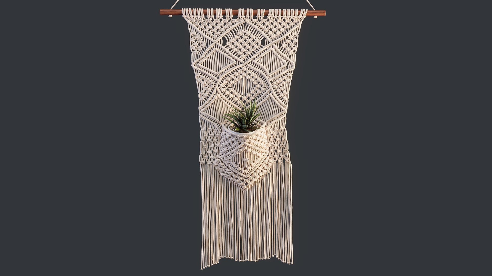 Macrame with Succulent Plant 3D model_2