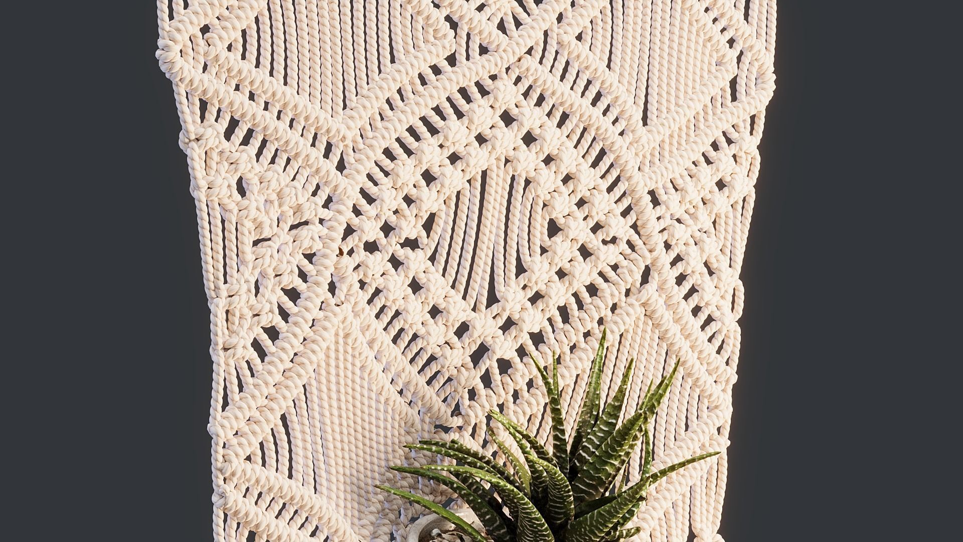 Macrame with Succulent Plant 3D model_12